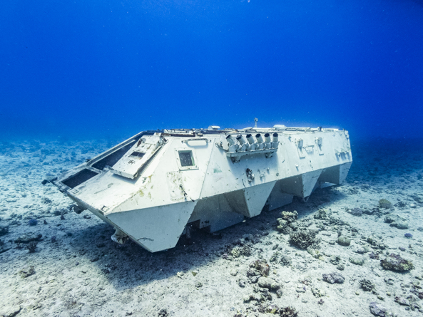 Creating New Dive Sites in Hurghada: Alleviating Pressure on Natural Corals